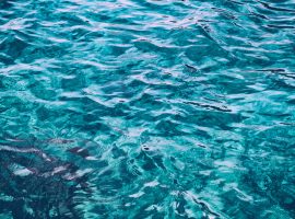 The Best Snorkeling Spots in Belize lighthouse reef in belize best spot for snorkeling