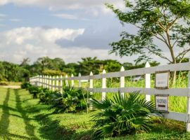 Cayo is a Great Option for Expats in Belize carmelita gardens belize