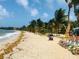 placencia belize