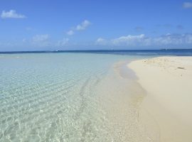Belize real estate