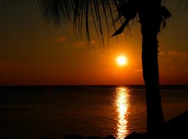 retire in sunny belize in 2021