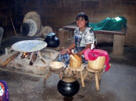 A Culinary Journey: Exploring the Maya Cuisine of Belize Best Places to Visit in Belize