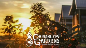 best place to live in 2021 (1)