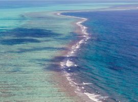 Belize Barrier Reef