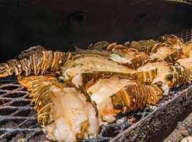 Lobster