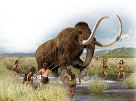 Modern Belize Owes a Debt of History to the Paleo-Indians paleo indians in belize