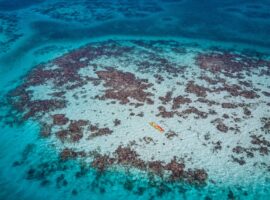 Happy Birthday: Belize Barrier Reef turns 10,000 years The Belize Barrier Reef