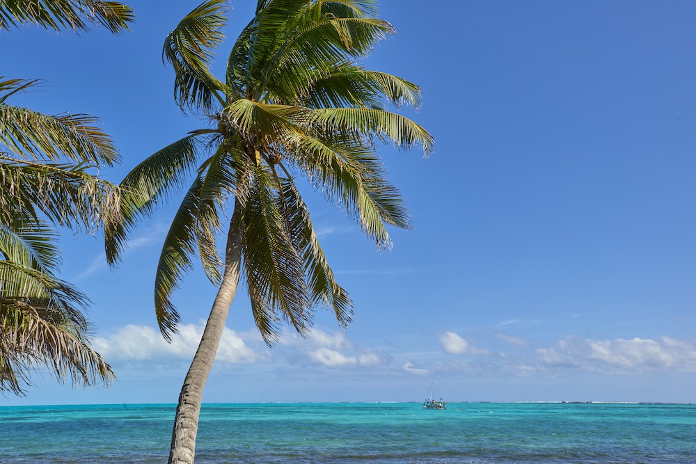 Things to Do in Belize This Winter