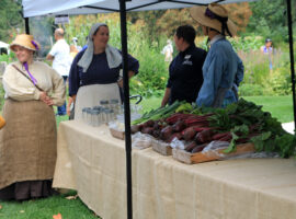 The Cultures of Belize: The Mennonites belize mennonites
