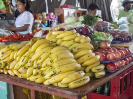 Belize Ranked Among Top 15 Cheapest Countries to Live in Central and South America the cost of living in belize