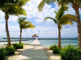 New Belize Travel Health Insurance Now Available for Purchase Online New Travel Health Insurance Now Available for Purchase Online