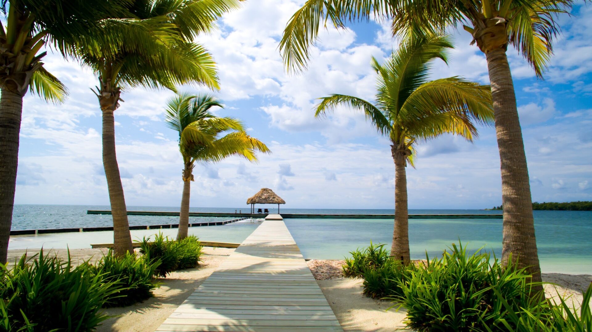 New Travel Health Insurance Now Available for Purchase Online