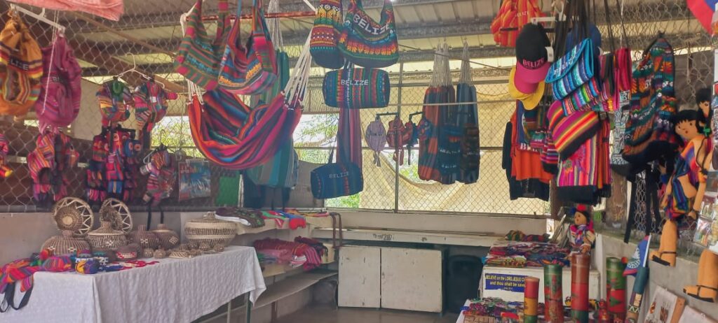 san ignacio farmer market tour