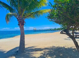 Belize Remove All Remaining COVID Entry Requirements for Tourist