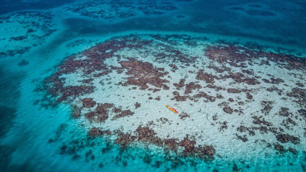 Experience the best of Belize