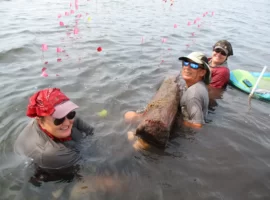Rare Mayan Salt Works in Belize Lagoon Tops Latest Worldwide Archaeological News! Rare Mayan Salt Works in Belize Lagoon Tops Latest Worldwide Archaeological News