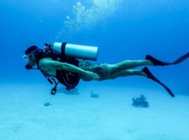 Belize’s Best Scuba and Diving Spots Belize’s Best Scuba and Diving Spots
