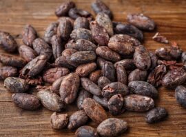 Here Is Why You Should Do A Chocolate Tour In Belize Here Is Why You Should Do A Chocolate Tour In Belize