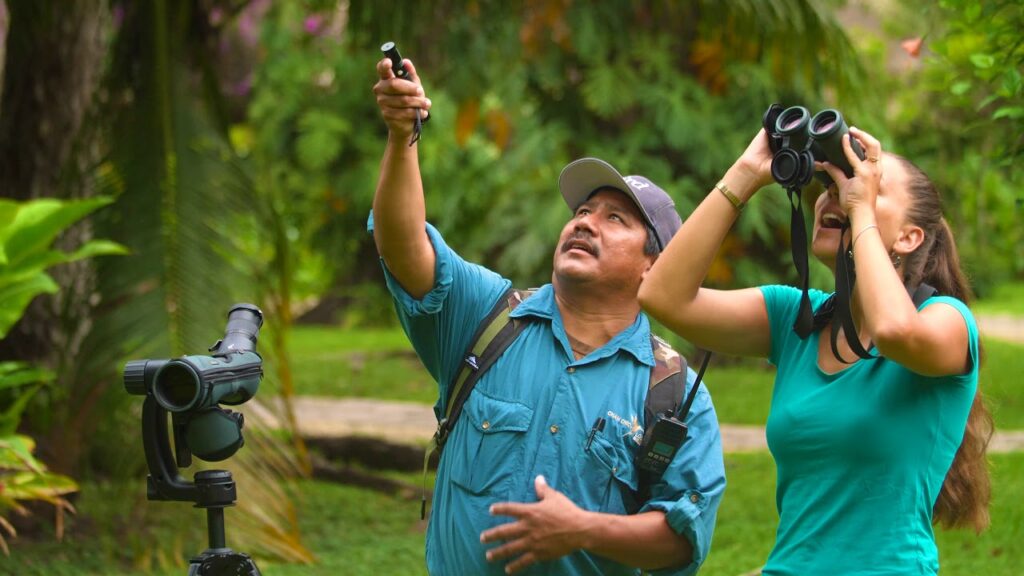 belize jungle adventures