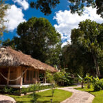 belize jungle lodges