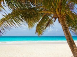 Tranquil Beaches Over Loud Fireworks