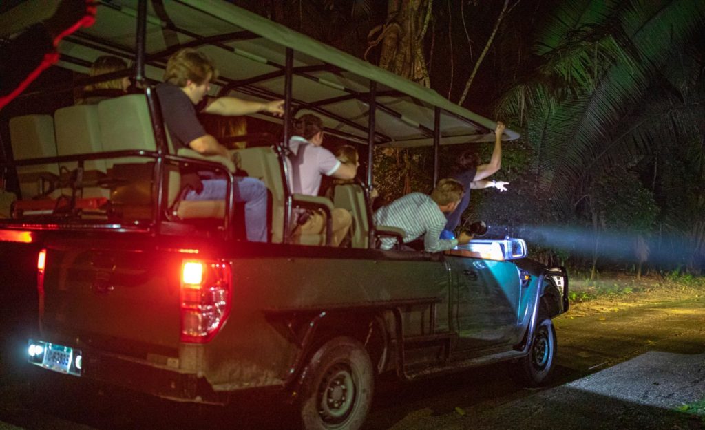 belize night safaris