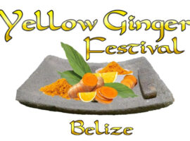 yellow ginger festival