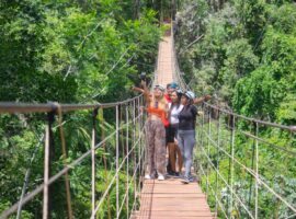 Journey Through Belize: From Treetop Bridges to Mystical Caves Belize's Hanging Bridges Tour Emerges as the New Tourism Hotspot
