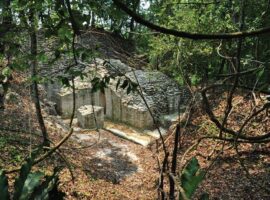 The Travel Spotlights Belize's El Pilar: A Majestic Maya City Overlooked by Tourists The Travel Spotlights Belize's El Pilar A Majestic Maya City Overlooked by Tourists
