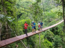 Dark Night Cave Tubing Adventures Unveils Belize’s Newest Sensation: The Rainforest Sky Walk Belize Off-Season Travelling