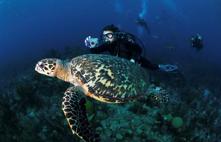 Exploring Belize's Beauty on a Budget