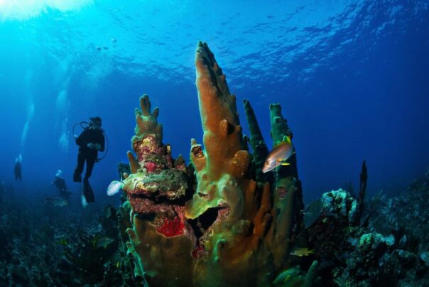 responsible tourism Belize
