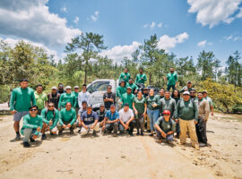 Mountain Pine Ridge cleanup