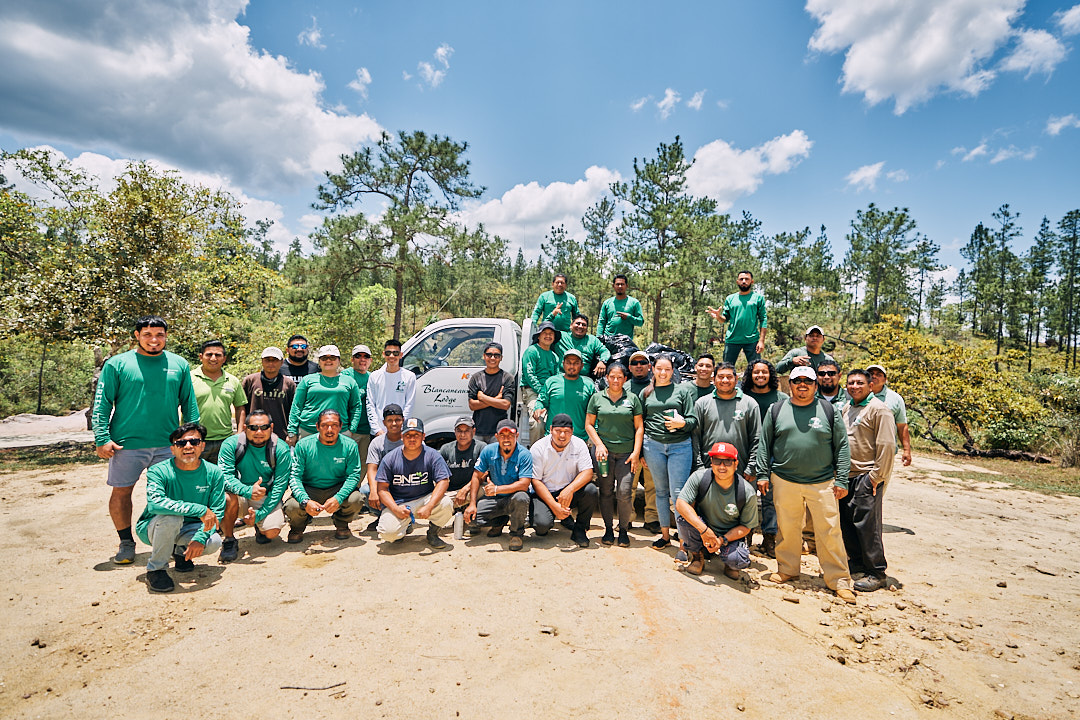 Mountain Pine Ridge cleanup