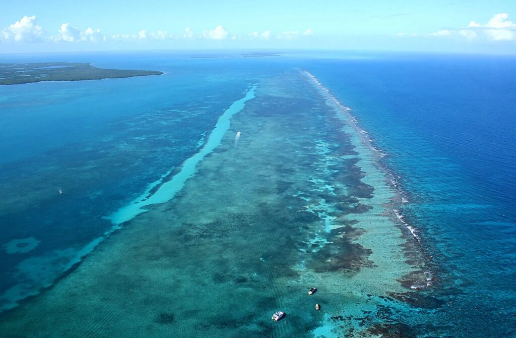  belize barrier reef tours