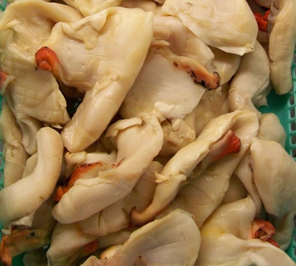  Sustainable seafood Belize