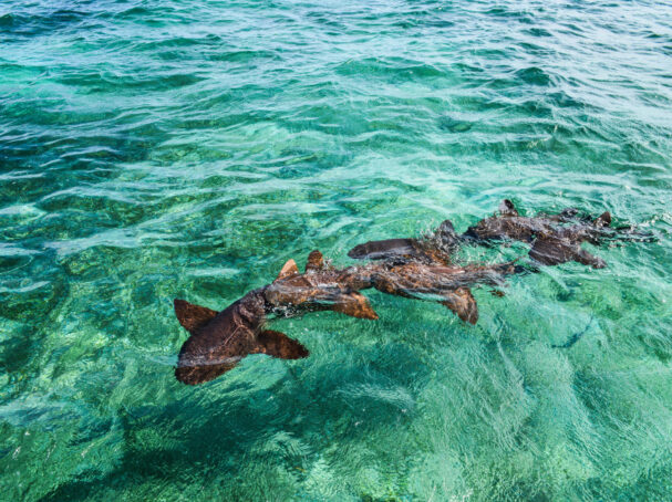  belize tourist spots