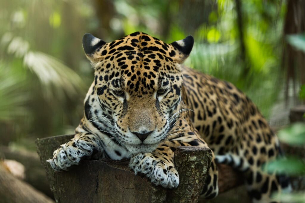  best time to visit belize