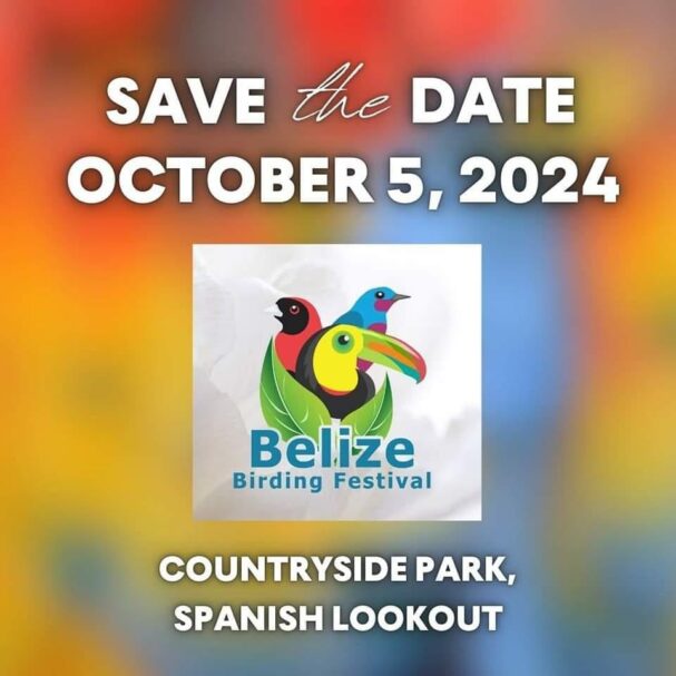 bird watching Belize