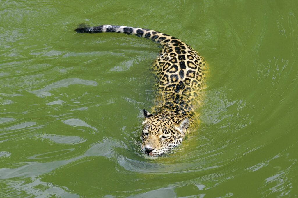 Belize eco-adventures