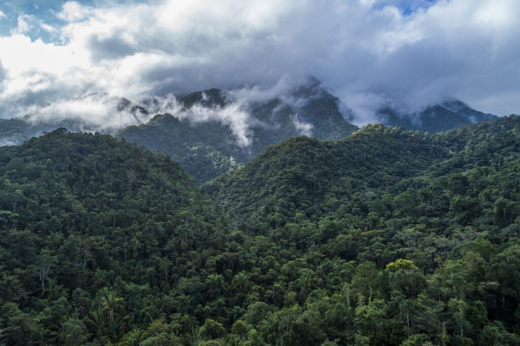 Belize jungle exploration