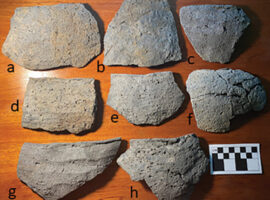 Earliest Known Maya Salt Works Discovered in Belize