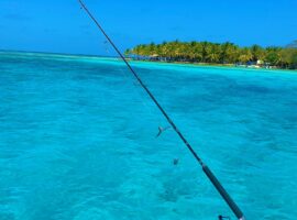 Belize weather forecast January