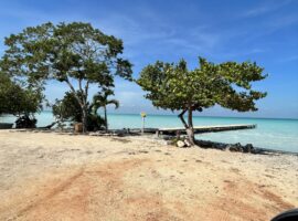 Discover Sarteneja: Belize’s Off-the-Beaten-Path Escape in 2025 Sarteneja Belize travel guide