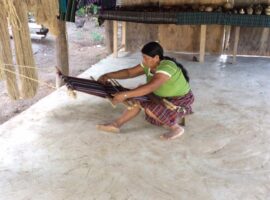 Why Should You Add Toledo to Your Belize Itinerary? Toledo Belize attractions