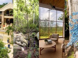 Recharge and Rejuvenate in Belize in 2025: Top 5 Jungle Lodges Belize in 2025