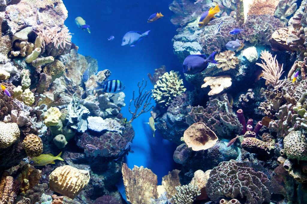 off-season travel Belize