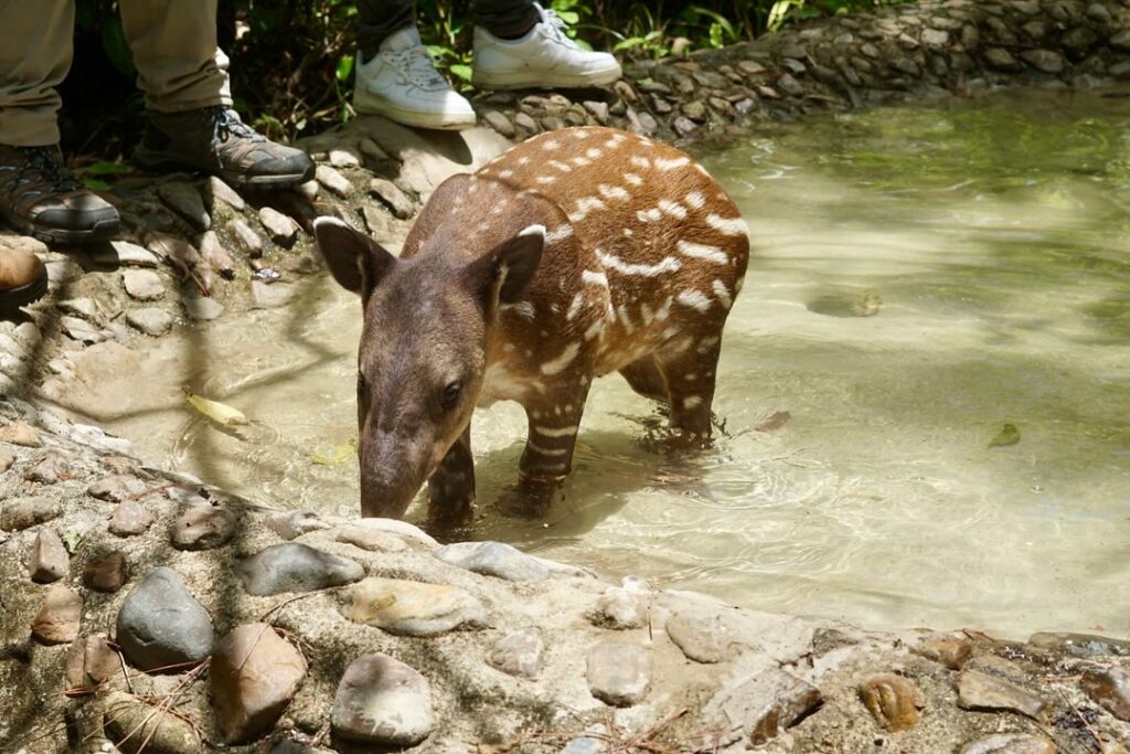 Belize family travel guide