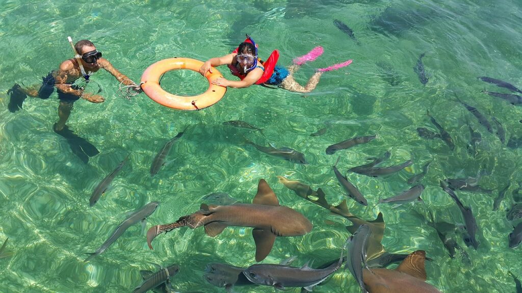 belize on a budget