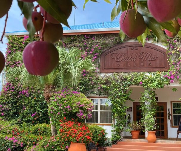 things to do in Belize 2025